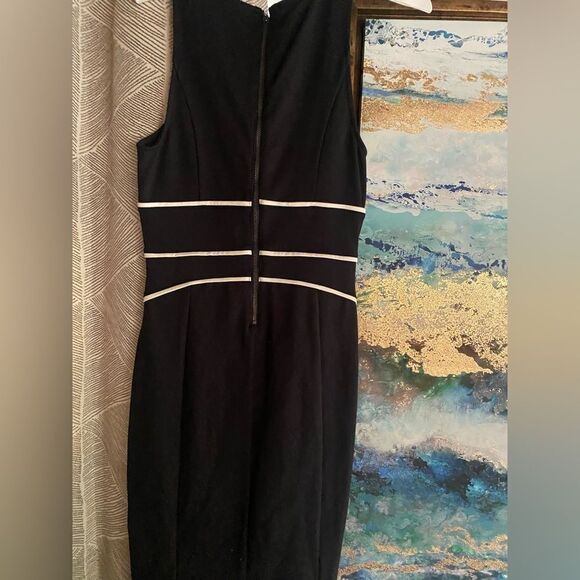 Anthropologie Maeve black sleeveless dress a. half leg size 2 - Picture 6 of 7